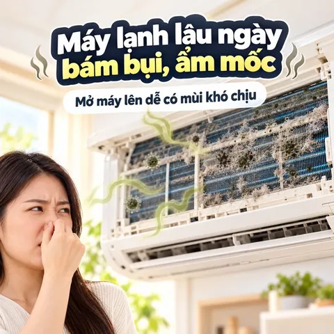 Máy lạnh lâu ngày bám bụi ẩm mốc