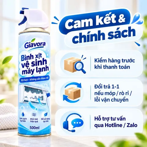 Cam kết và chính sách